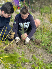 Year 7 Kaitiaki group planted 200 trees in the wetland area